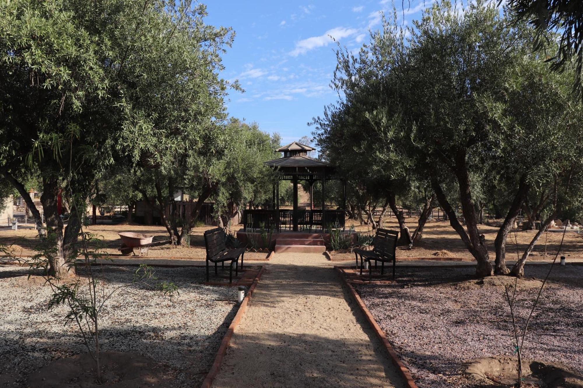 Estancia Los Amigos Valle De Guadalupe Exterior photo